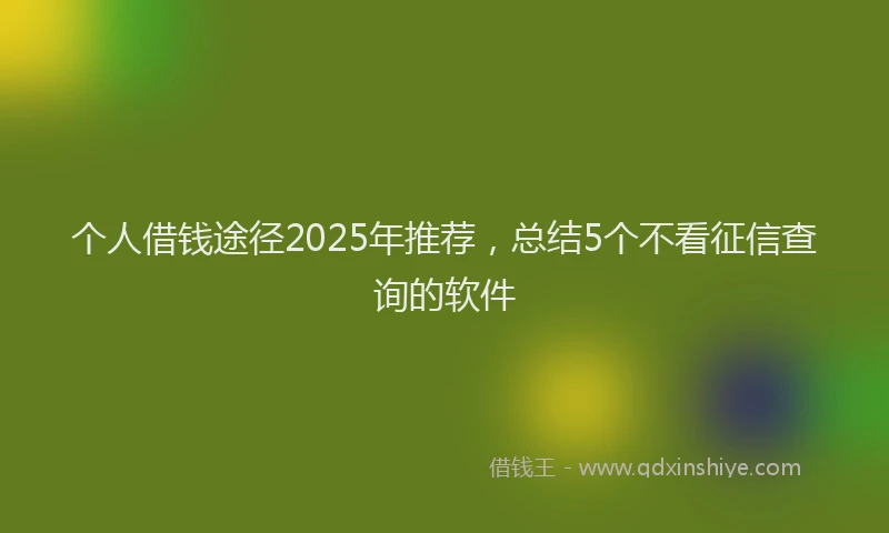 个人借钱途径2025年推荐，总结5个不看征信查询的软件