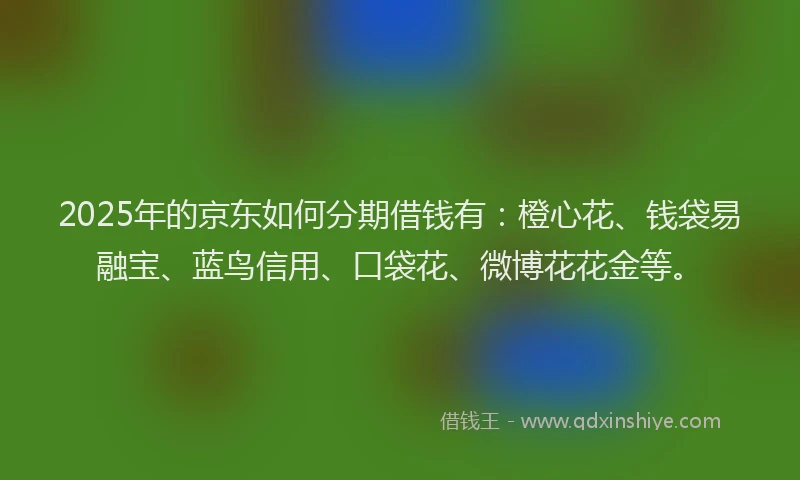 2025年的京东如何分期借钱有：橙心花、钱袋易融宝、蓝鸟信用、口袋花、微博花花金等。