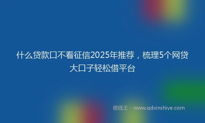 什么贷款口不看征信2025年推荐，梳理5个网贷大口子轻松借平台