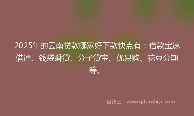 2025年的云南贷款哪家好下款快点有：借款宝速借通、钱袋瞬贷、分子贷宝、优易购、花豆分期等。