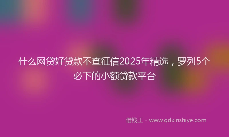 什么网贷好贷款不查征信2025年精选，罗列5个必下的小额贷款平台