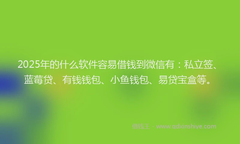 2025年的什么软件容易借钱到微信有：私立签、蓝莓贷、有钱钱包、小鱼钱包、易贷宝盒等。