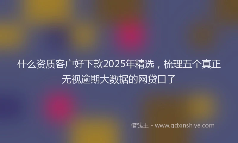 什么资质客户好下款2025年精选，梳理五个真正无视逾期大数据的网贷口子