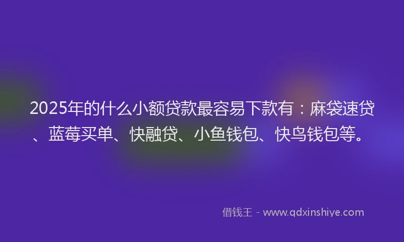 2025年的什么小额贷款最容易下款有：麻袋速贷、蓝莓买单、快融贷、小鱼钱包、快鸟钱包等。