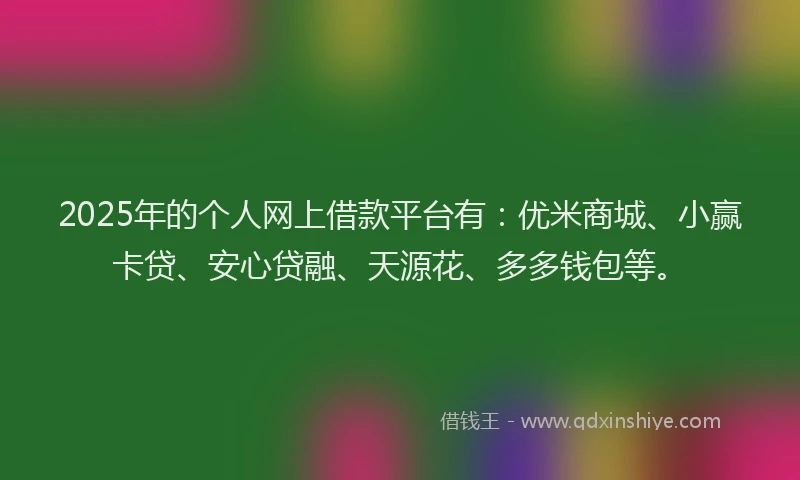 2025年的个人网上借款平台有：优米商城、小赢卡贷、安心贷融、天源花、多多钱包等。