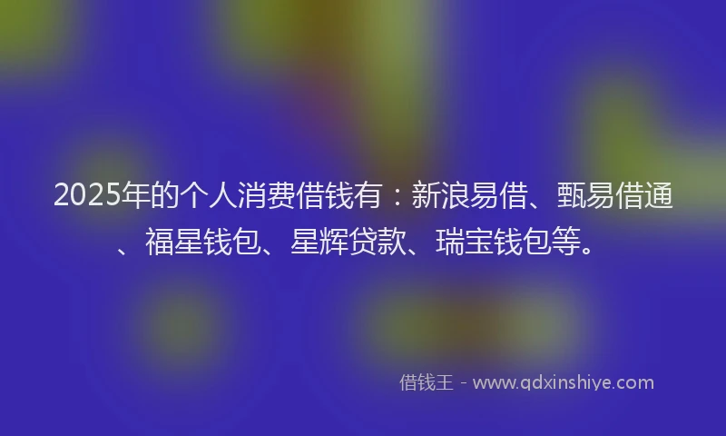 2025年的个人消费借钱有：新浪易借、甄易借通、福星钱包、星辉贷款、瑞宝钱包等。