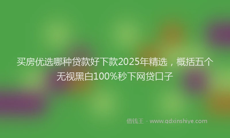 买房优选哪种贷款好下款2025年精选，概括五个无视黑白100%秒下网贷口子