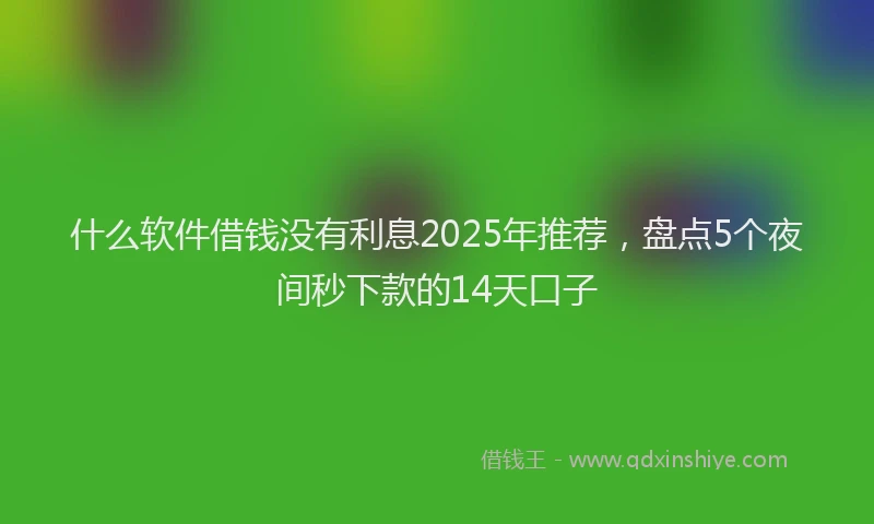 什么软件借钱没有利息2025年推荐，盘点5个夜间秒下款的14天口子