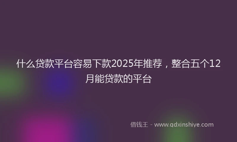 什么贷款平台容易下款2025年推荐，整合五个12月能贷款的平台