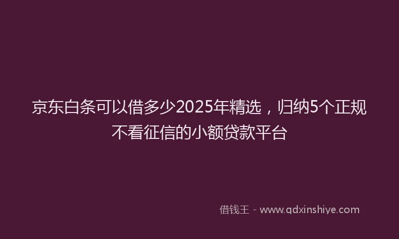 京东白条可以借多少2025年精选，归纳5个正规不看征信的小额贷款平台