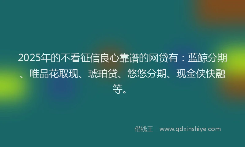 2025年的不看征信良心靠谱的网贷有：蓝鲸分期、唯品花取现、琥珀贷、悠悠分期、现金侠快融等。