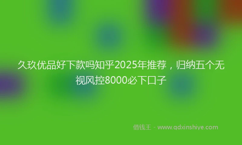 久玖优品好下款吗知乎2025年推荐，归纳五个无视风控8000必下口子