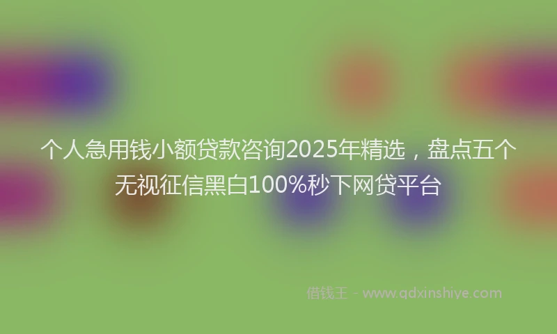 个人急用钱小额贷款咨询2025年精选，盘点五个无视征信黑白100%秒下网贷平台