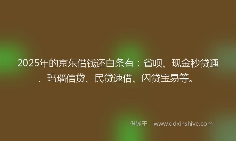 2025年的京东借钱还白条有：省呗、现金秒贷通、玛瑙信贷、民贷速借、闪贷宝易等。