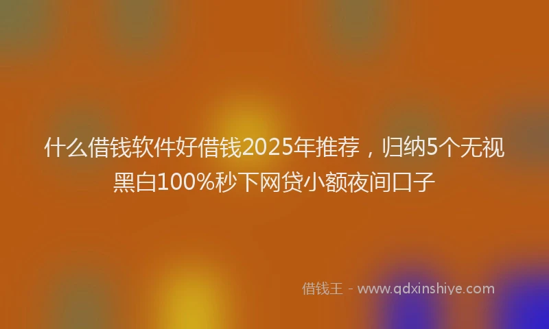 什么借钱软件好借钱2025年推荐，归纳5个无视黑白100%秒下网贷小额夜间口子