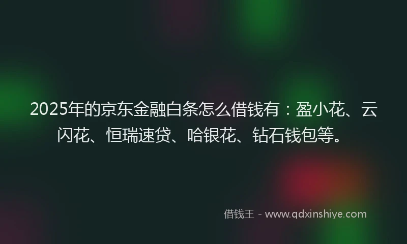 2025年的京东金融白条怎么借钱有：盈小花、云闪花、恒瑞速贷、哈银花、钻石钱包等。