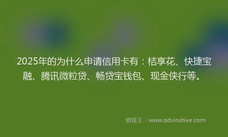 2025年的为什么申请信用卡有：桔享花、快捷宝融、腾讯微粒贷、畅贷宝钱包、现金侠行等。