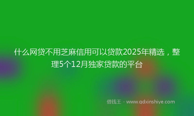 什么网贷不用芝麻信用可以贷款2025年精选，整理5个12月独家贷款的平台