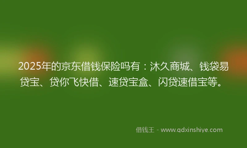2025年的京东借钱保险吗有：沐久商城、钱袋易贷宝、贷你飞快借、速贷宝盒、闪贷速借宝等。