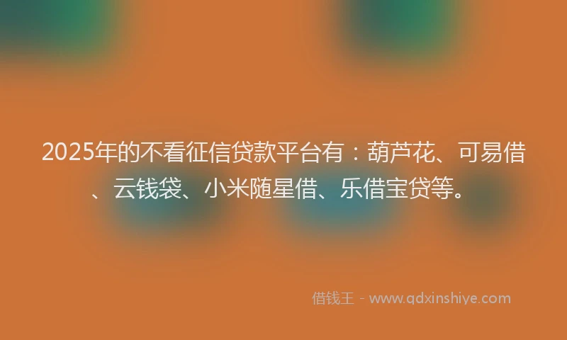 2025年的不看征信贷款平台有：葫芦花、可易借、云钱袋、小米随星借、乐借宝贷等。