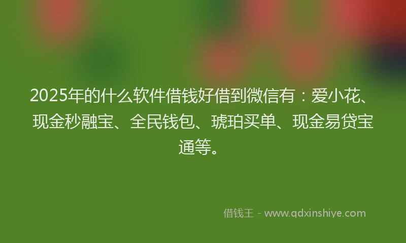 2025年的什么软件借钱好借到微信有：爱小花、现金秒融宝、全民钱包、琥珀买单、现金易贷宝通等。