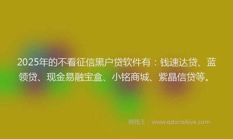 2025年的不看征信黑户贷软件有：钱速达贷、蓝领贷、现金易融宝盒、小铭商城、紫晶信贷等。