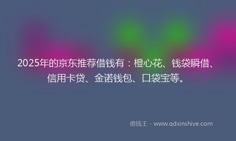 2025年的京东推荐借钱有：橙心花、钱袋瞬借、信用卡贷、金诺钱包、口袋宝等。