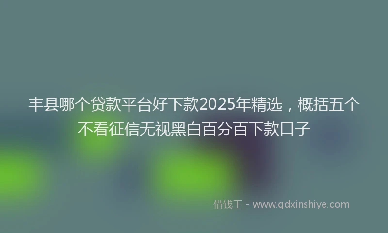 丰县哪个贷款平台好下款2025年精选，概括五个不看征信无视黑白百分百下款口子