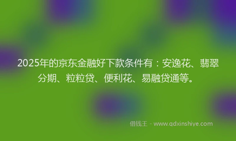 2025年的京东金融好下款条件有：安逸花、翡翠分期、粒粒贷、便利花、易融贷通等。