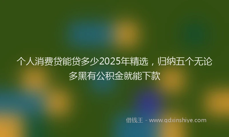 个人消费贷能贷多少2025年精选，归纳五个无论多黑有公积金就能下款