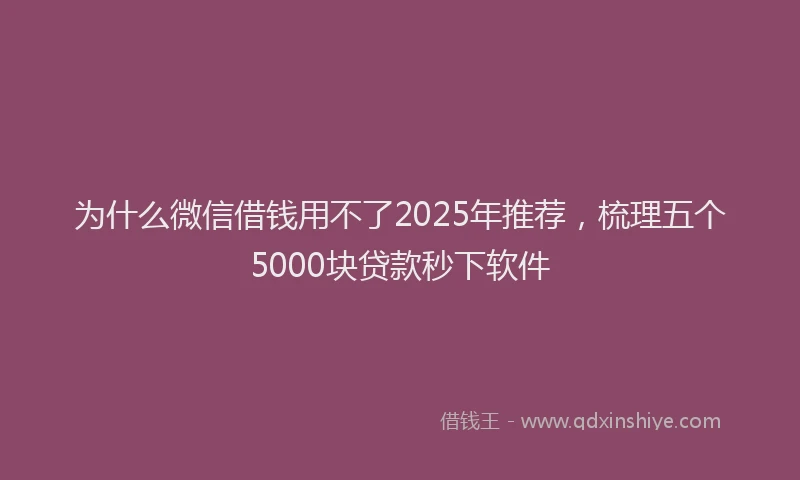为什么微信借钱用不了2025年推荐，梳理五个5000块贷款秒下软件