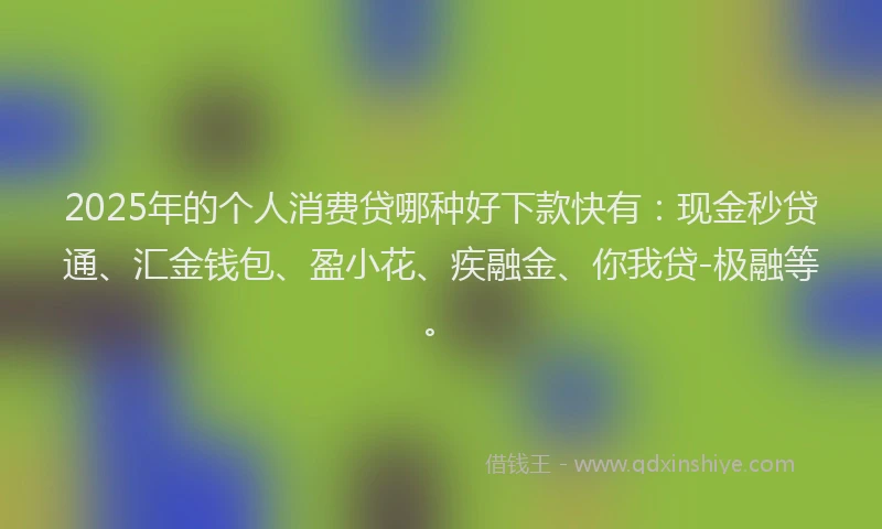 2025年的个人消费贷哪种好下款快有：现金秒贷通、汇金钱包、盈小花、疾融金、你我贷-极融等。