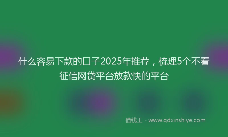 什么容易下款的口子2025年推荐，梳理5个不看征信网贷平台放款快的平台