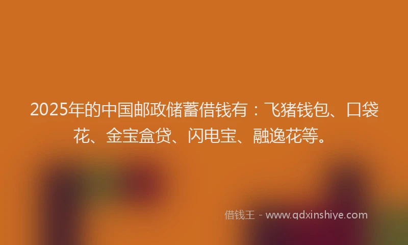 2025年的中国邮政储蓄借钱有：飞猪钱包、口袋花、金宝盒贷、闪电宝、融逸花等。