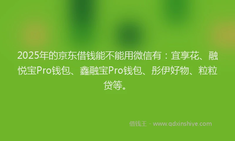 2025年的京东借钱能不能用微信有：宜享花、融悦宝Pro钱包、鑫融宝Pro钱包、彤伊好物、粒粒贷等。