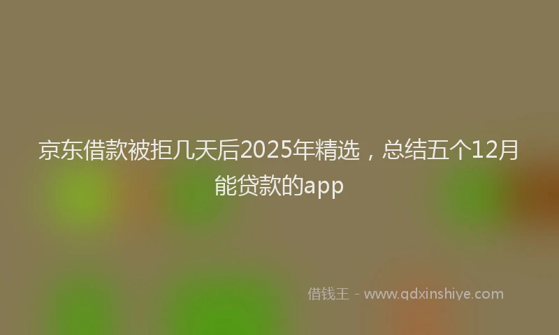 京东借款被拒几天后2025年精选，总结五个12月能贷款的app