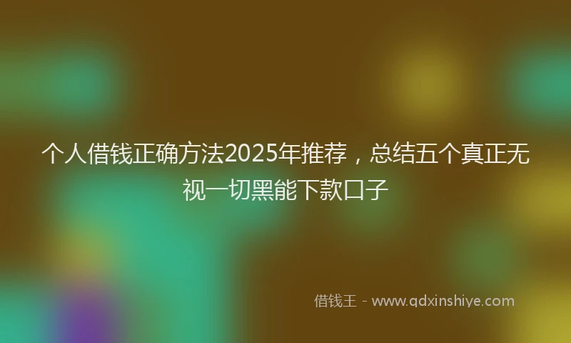 个人借钱正确方法2025年推荐，总结五个真正无视一切黑能下款口子