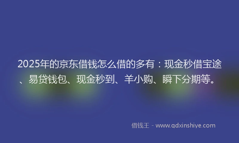 2025年的京东借钱怎么借的多有：现金秒借宝途、易贷钱包、现金秒到、羊小购、瞬下分期等。