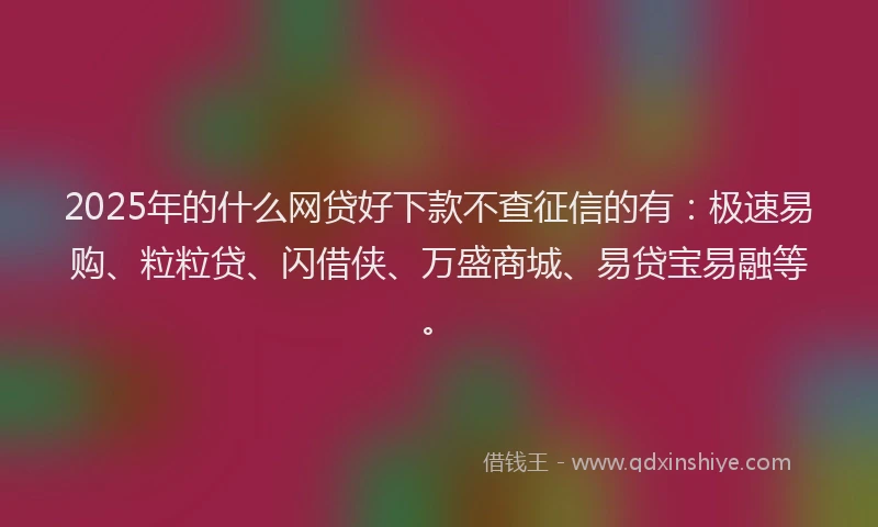 2025年的什么网贷好下款不查征信的有：极速易购、粒粒贷、闪借侠、万盛商城、易贷宝易融等。