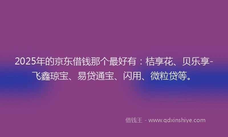 2025年的京东借钱那个最好有：桔享花、贝乐享-飞鑫琼宝、易贷通宝、闪用、微粒贷等。