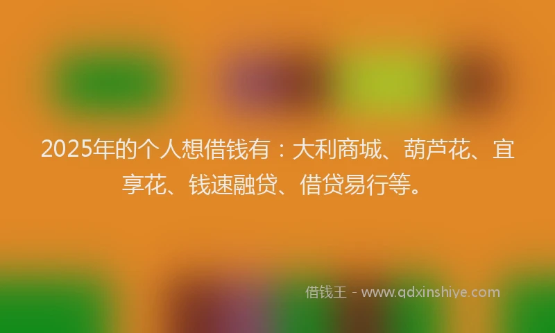 2025年的个人想借钱有：大利商城、葫芦花、宜享花、钱速融贷、借贷易行等。