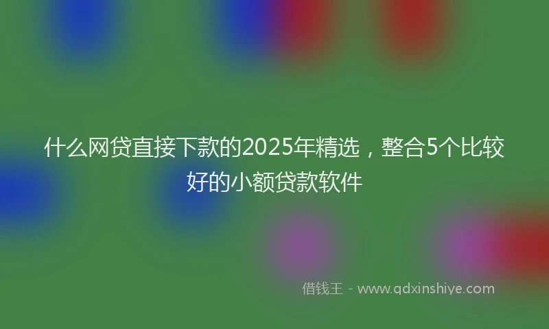 什么网贷直接下款的2025年精选，整合5个比较好的小额贷款软件