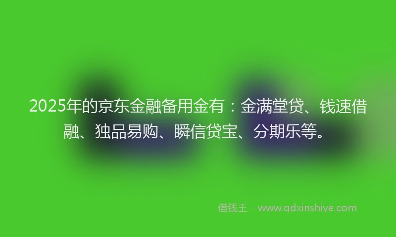 2025年的京东金融备用金有：金满堂贷、钱速借融、独品易购、瞬信贷宝、分期乐等。