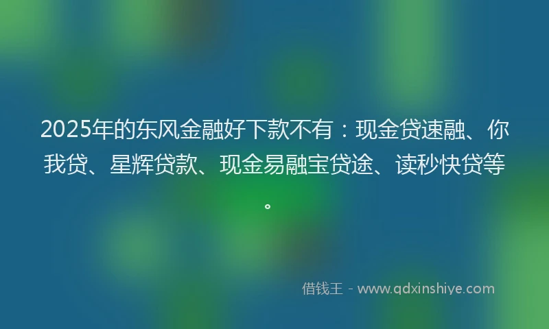 2025年的东风金融好下款不有：现金贷速融、你我贷、星辉贷款、现金易融宝贷途、读秒快贷等。