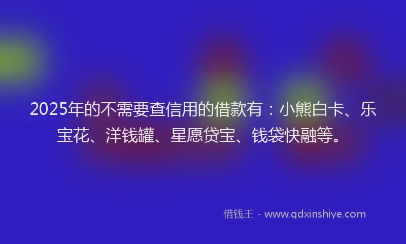 2025年的不需要查信用的借款有：小熊白卡、乐宝花、洋钱罐、星愿贷宝、钱袋快融等。