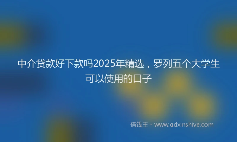 中介贷款好下款吗2025年精选，罗列五个大学生可以使用的口子