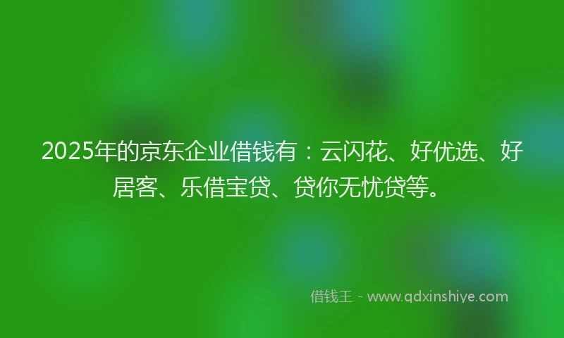 2025年的京东企业借钱有：云闪花、好优选、好居客、乐借宝贷、贷你无忧贷等。
