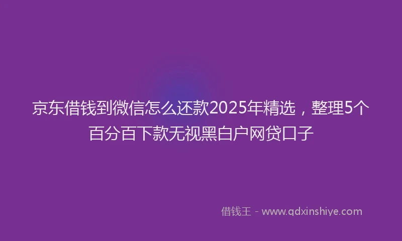 京东借钱到微信怎么还款2025年精选，整理5个百分百下款无视黑白户网贷口子