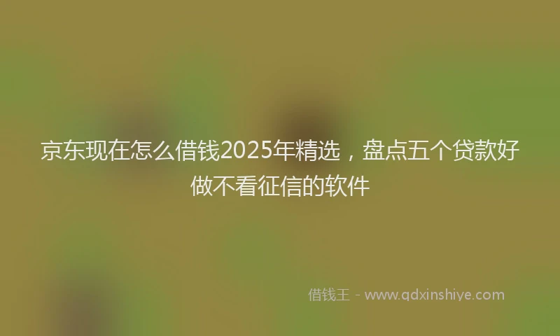 京东现在怎么借钱2025年精选，盘点五个贷款好做不看征信的软件