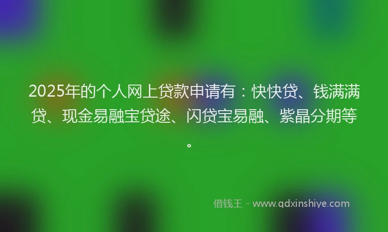 2025年的个人网上贷款申请有：快快贷、钱满满贷、现金易融宝贷途、闪贷宝易融、紫晶分期等。